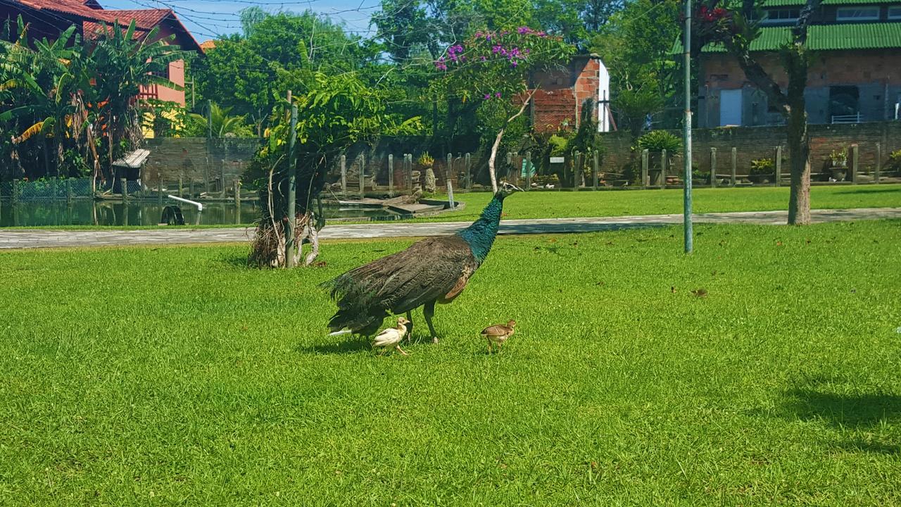 Pousada Pavao Branco Florianópolis Esterno foto