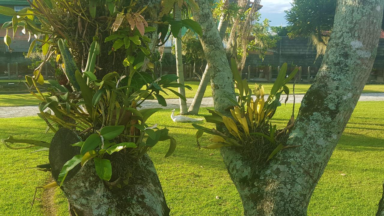 Pousada Pavao Branco Florianópolis Esterno foto