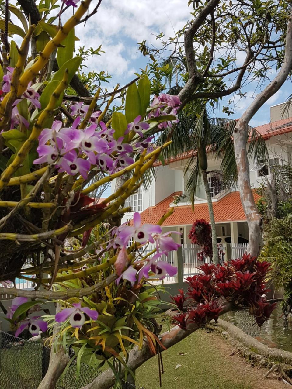 Pousada Pavao Branco Florianópolis Esterno foto