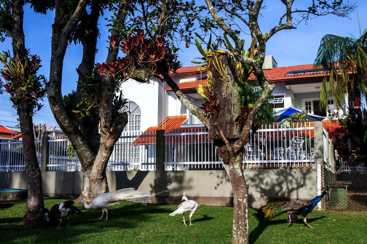 Pousada Pavao Branco Florianópolis Esterno foto